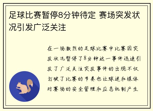 足球比赛暂停8分钟待定 赛场突发状况引发广泛关注